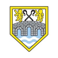 Chelmsford Rugby Football Club logo - Similar company to Altidat S.A.