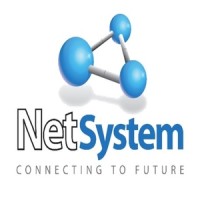 NetSystem S.A. logo - Similar company to Netsystems Inc