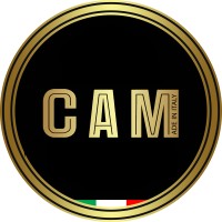 CAM Group logo - Similar company to Cam Group