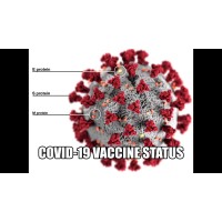 COVID-19 Vaccine Status Information logo - Similar company to Coronavirus ( Covid-19 ) Updates