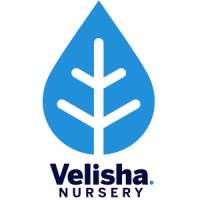 Velisha Nursery logo - Similar company to Produmer 🇨🇷
