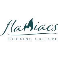 Flamiacs logo - Similar company to E-Influence