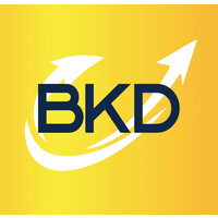 BKD Express logo - Similar company to Studio Siebe