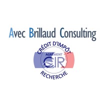 Avec Brillaud Consulting logo - Similar company to Panntherapi