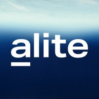 alite GmbH logo - Similar company to Dyna Bcs Informatik Gmbh