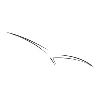 Condor Gürtel logo - Similar company to Althyas