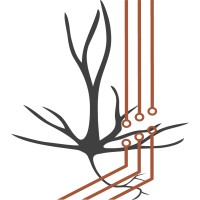 Peztek Consulting