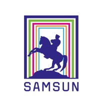 Erasmus Student Network Samsun logo - Similar company to Serhat Türkel