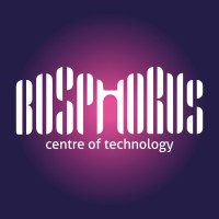 Bosphorus Software logo - Similar company to Mekanikel