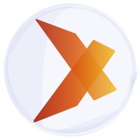 Consulthinx logo - Similar company to Bidbod24