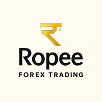 ROPEE FOREX SOLUTION logo - Similar company to Skein Nigeria Limited