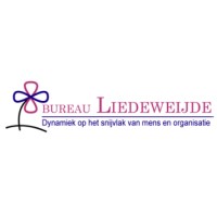 Bureau Liedeweijde Bv
