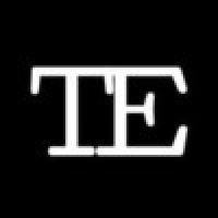 Technology Elevation logo - Similar company to Wide Ripples Digital