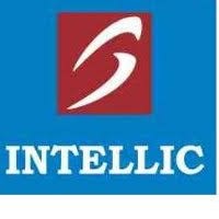 Intellic Systems logo - Similar company to Intellect Systems