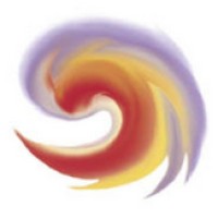 Silenus Consulting