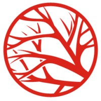 Dynamic Light logo - Similar company to Dev4