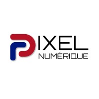 Pixel Numérique logo - Similar company to L'Affaire Nayox, Thriller De Guy Boisberranger 351P - 9,90€ -Version Numérique 3€