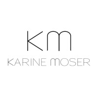 Karine Moser logo - Similar company to Dvb