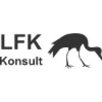 Lfk Konsult