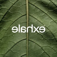 exhale logo - Similar company to Artse