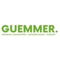 Garnelen Guemmer logo - Similar company to Seven Past Nine