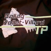 GALLAY - POLLET VILLARD TP logo - Similar company to Biasini
