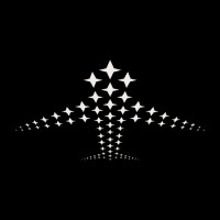 Interstellar Aviation logo - Similar company to Campass Jet