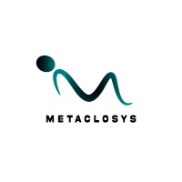 Metaclosys logo - Similar company to Cyberclosys