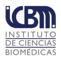ICBM logo - Similar company to Vicerrectoría De Investigación Universidad Mayor