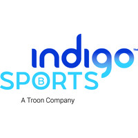 Indigo Sports logo - Similar company to Selfinus
