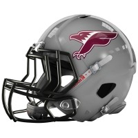 Falcons de Villeurbanne logo - Similar company to Mchb Montélimar