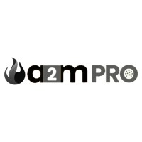 A2mpro Technologies Pvt Ltd. logo - Similar company to Plus10 Technical Recruiters