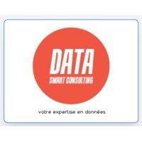 Data Smart Consulting Pro logo - Similar company to Hapidata