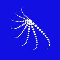 Polvo Lab logo - Similar company to Pranaup