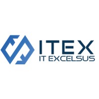 it-excelsus GmbH logo - Similar company to It Professionals Ag