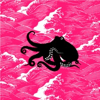 Pinko Studio logo - Similar company to Aeme