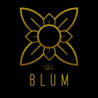 theBLUM logo - Similar company to Davai