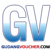 GV e-money logo - Similar company to Indiesche Partners