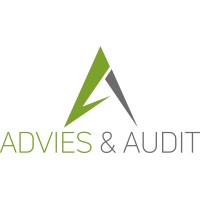 Erik Koster Advies & Audit