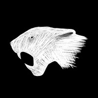 Jaguar Teeth logo - Similar company to Studio Lupidi