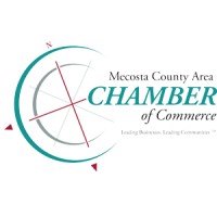 Mecosta County Area Chamber of Commerce logo - Similar company to Silversmith Data