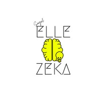 Elle Zeka logo - Similar company to Quantum Grafix