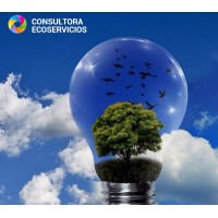 Consultora Ecoservicios spa logo - Similar company to Sustentabilidad Global