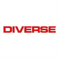 Diverse Technologies logo - Similar company to Diverse Technologies