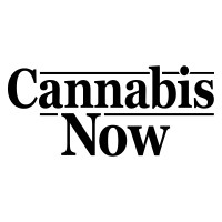 Cannabis Now logo - Similar company to Pro Cannabis Media