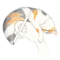 I Love To Draw Cats