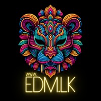 EDM.LK logo - Similar company to Wls Professional Services