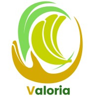 Valoria logo - Similar company to Valoria