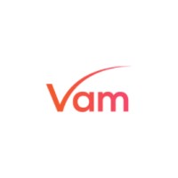Vam Agency logo - Similar company to Intrideo
