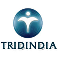 TridIndia IT Translation Services Pvt.Ltd logo - Similar company to Brizhr